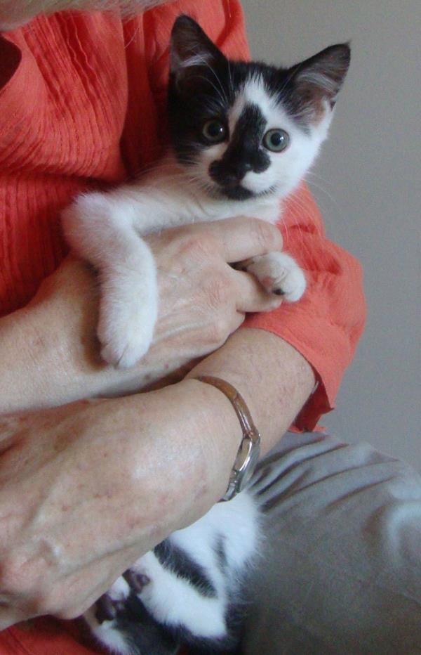 /Images/uploads/Humane Rescue Alliance/HRACalendarPhotoContest/entries/8442thumb.jpg